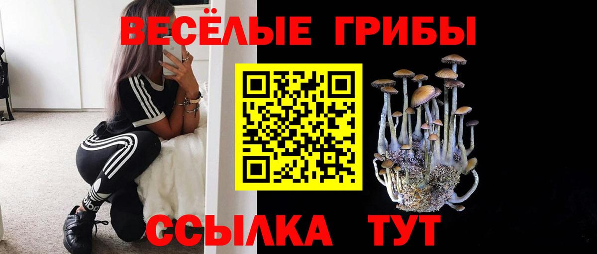 Псилоцибиновые грибы прущие грибы Усть-Илимск