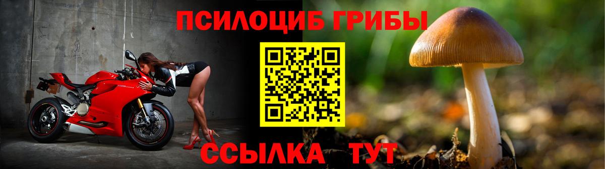 Галлюциногенные грибы Cubensis  Вход с VPN  что такое   Усть-Илимск  Псилоцибиновые грибы мухоморы 